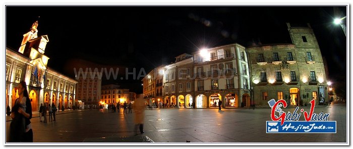 AVILES 2013021